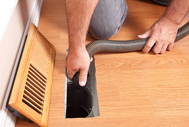 Best Mold and Mildew Removal from Ducts in Franklin, NJ